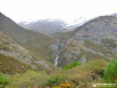 Montaña Palentina-Fuentes Carrionas; puente de noviembre puente constitucion la casa del bosque tie